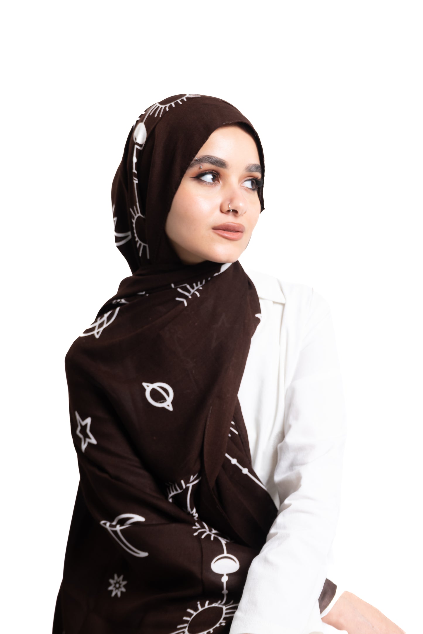 Brown Lunar Lines in Model